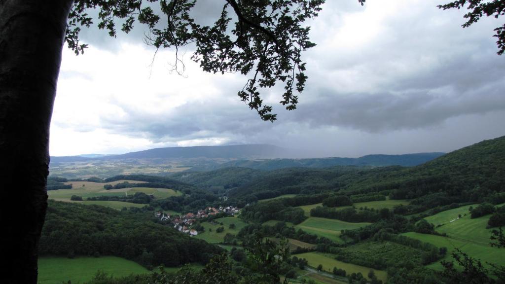 Landhaus Am Westerwald Martinfeld Dış mekan fotoğraf